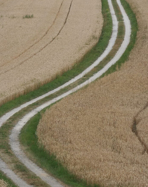 Kontakt und Terminvereinbarung